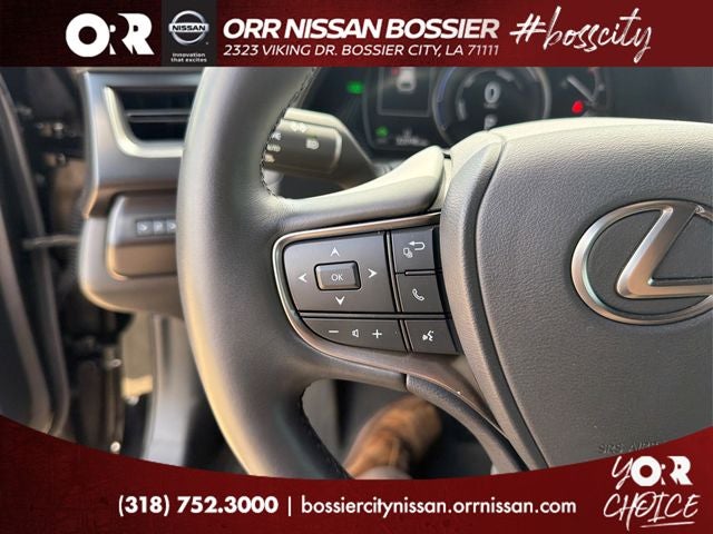 2024 Lexus UX 250h Premium